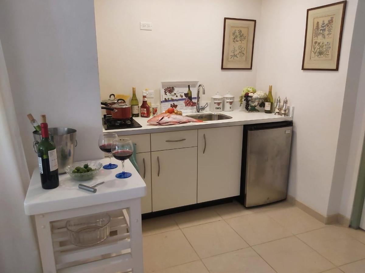 Studio Zara Apartment Savaneta Bagian luar foto